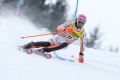 FIS Alpine World Ski Championships Saalbach 2025
Men's Slalom 
STRASSER Linus (GER)
Sunday 16/02/25