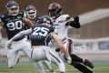 EUROPEAN LEAGUE OF FOOTBALL - SEASON 2024
Helvetic Mercenaries @ Milano Seamen
MILANO, ITALY, LOMBARDIA
2024-06-08 - Saturday
Images show: