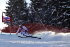 SWC: 2014 - BORMIO(ITA) , DH MEN 29 DIC-2014 - (Photobisi/Luciano Maria Bisi)