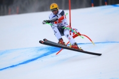 SWC: 2014 - VAL GARDENA(ITA) , SUPER G 20 DIC-2014 -(Photobisi/Luciano Maria Bisi)