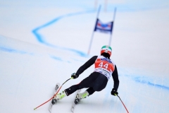 SWC: 2014 - VAL GARDENA(ITA) , SUPER G 20 DIC-2014 -(Photobisi/Luciano Maria Bisi)