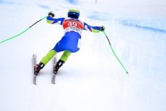 SWC: 2014 - VAL GARDENA(ITA) , SUPER G 20 DIC-2014 -(Photobisi/Luciano Maria Bisi)