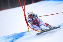 SWC: 2014 - VAL GARDENA(ITA) , SUPER G 20 DIC-2014 -(Photobisi/Luciano Maria Bisi)