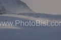 ALPINE SKIING - FIS WC 2023-2024Zermatt - Cervinia (SUI)  - Women's Downhill First RaceImage shows: RACE CANCELLED FOR STRONG WIND