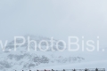 ALPINE SKIING - FIS WC 2023-2024Zermatt - Cervinia (SUI)  - Women's Downhill First RaceImage shows: RACE CANCELLED FOR STRONG WIND